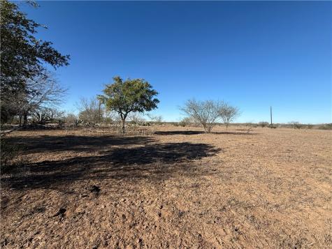 Tba County Road 440 Alice TX 78332