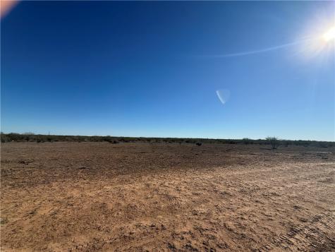 Tba County Road 440 Alice TX 78332