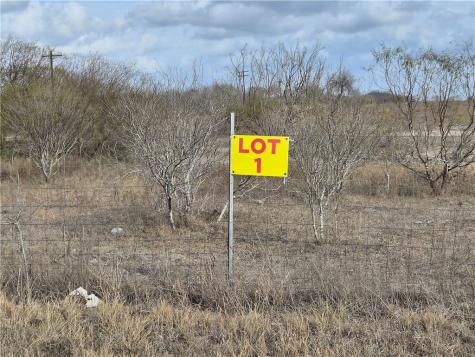 Lot 1 2180 County Road E Kingsville TX 78363