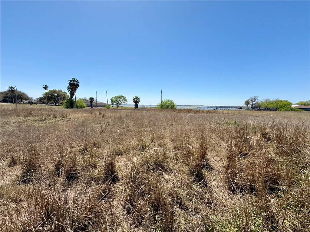 24549 La Ponderosa Drive Mathis TX 78368