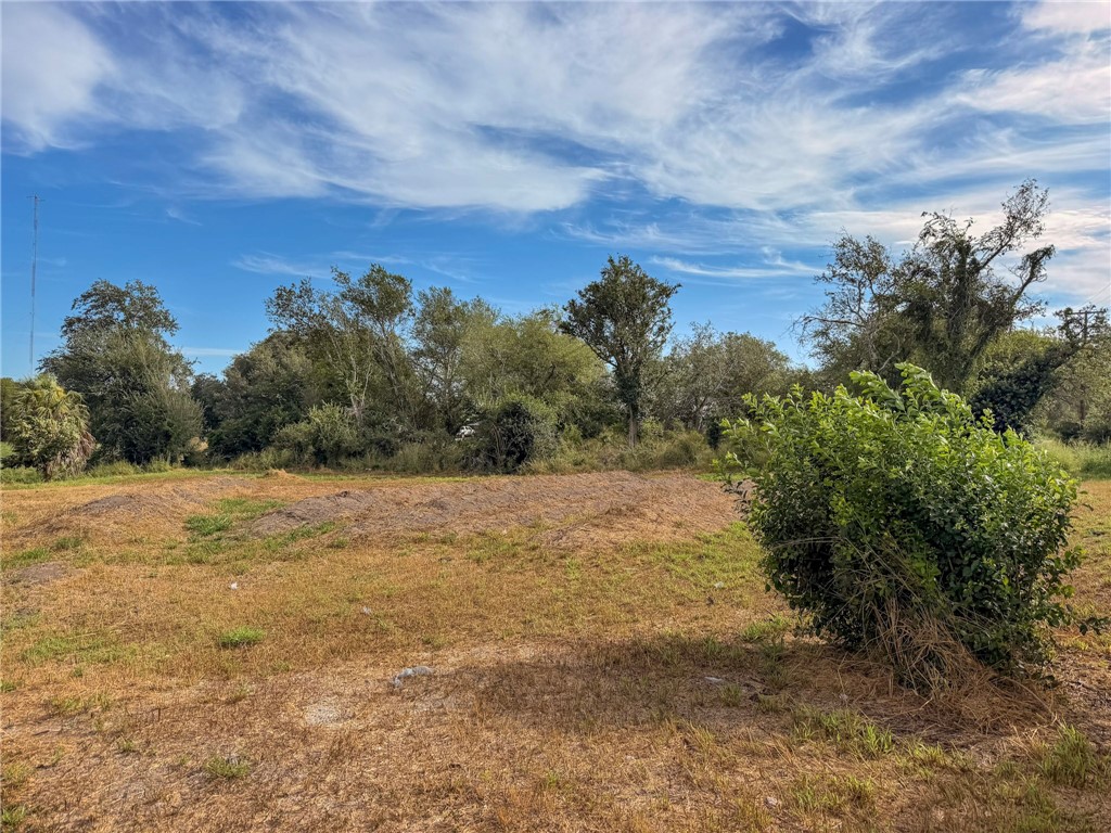 806 Pecos Street George West TX 78022