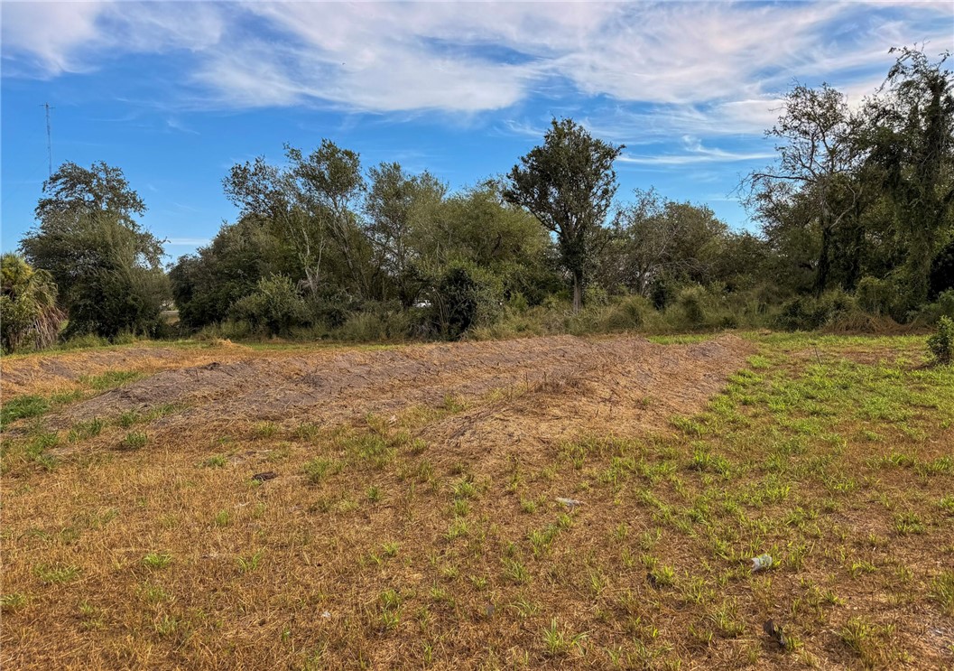806 Pecos Street George West TX 78022