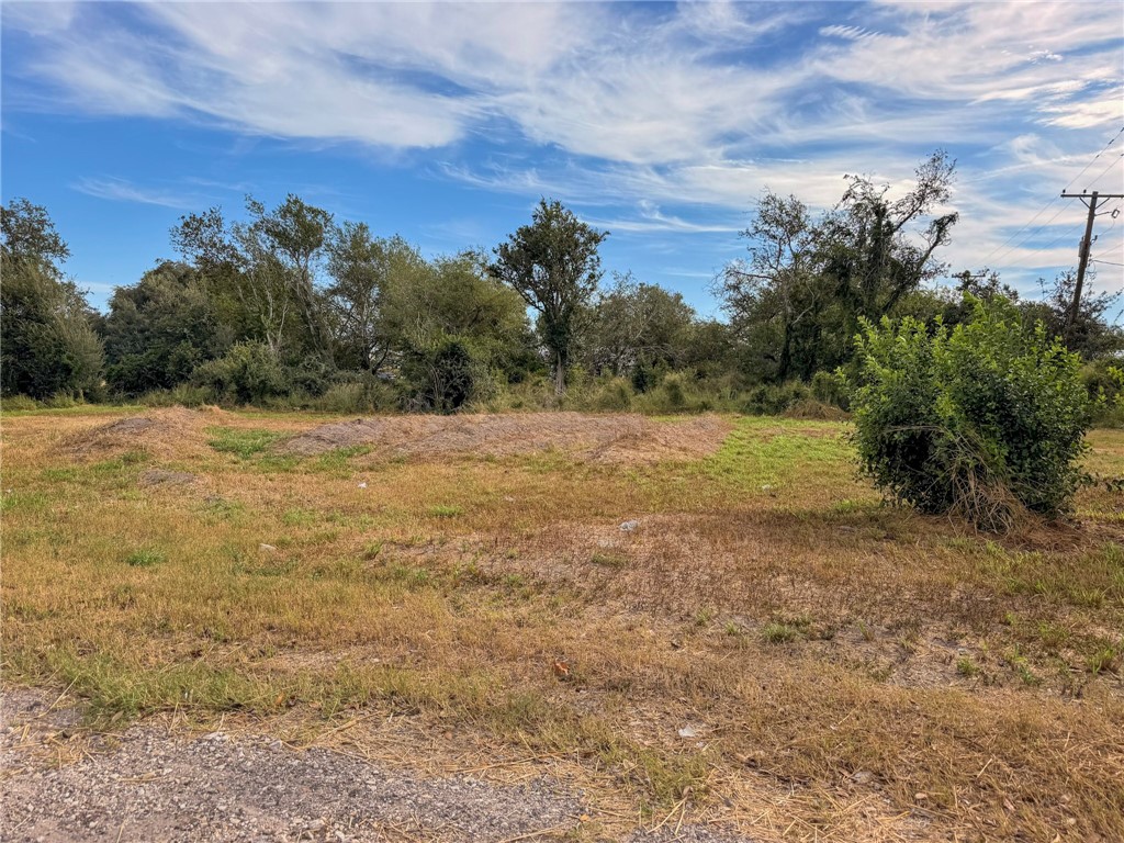 806 Pecos Street George West TX 78022