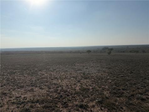 188 Quail Drive George West TX 78022