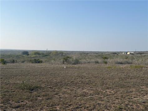 188 Quail Drive George West TX 78022