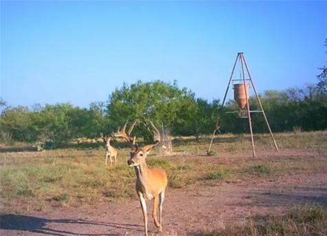 188 Quail Drive George West TX 78022