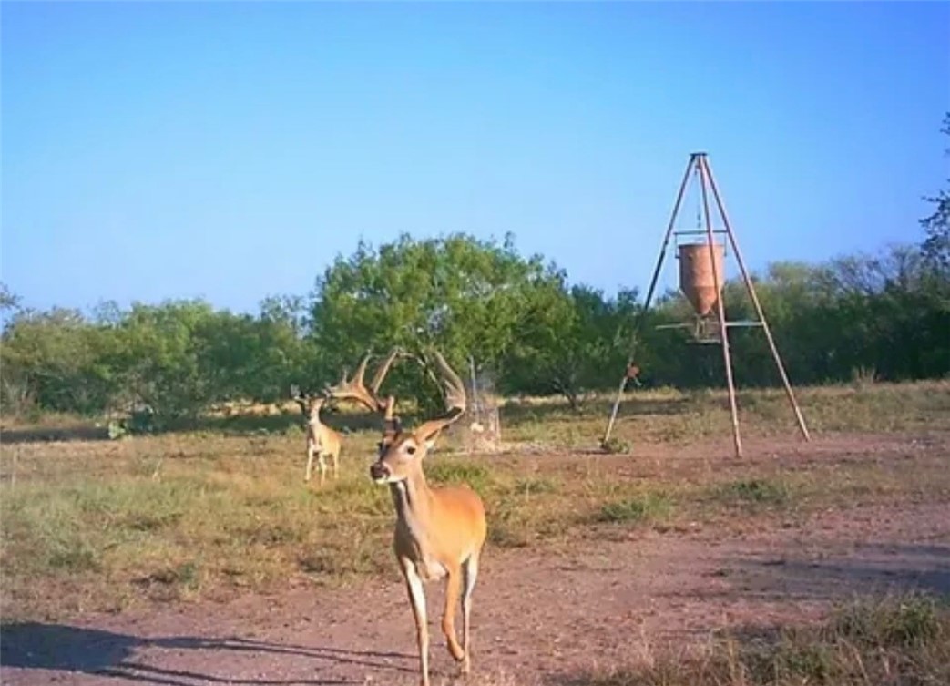 188 Quail Drive George West TX 78022