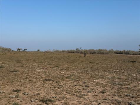 188 Quail Drive George West TX 78022