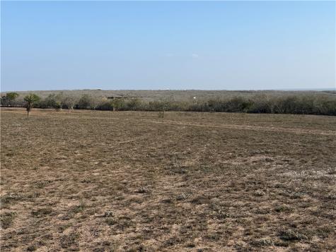 188 Quail Drive George West TX 78022