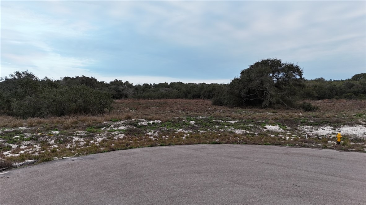 3226 Orlov Trotter Drive Corpus Christi TX 78418