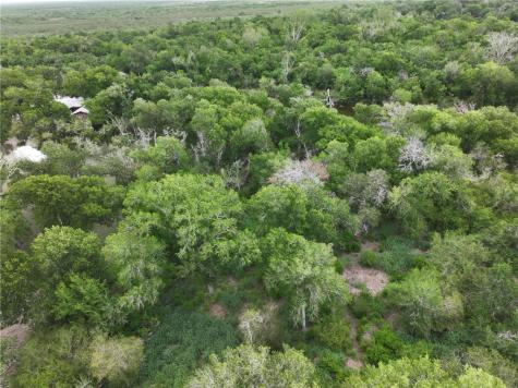 341 Mission River Oaks Woodsboro TX 78393