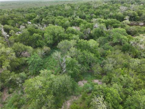 341 Mission River Oaks Woodsboro TX 78393