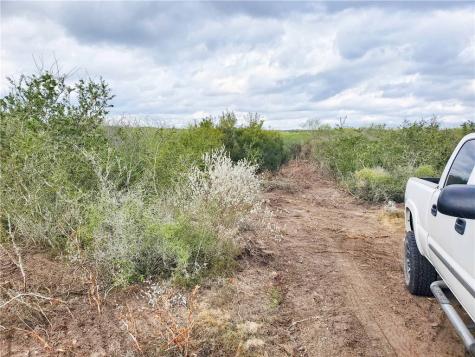 449 Double Eagle Road George West TX 78022