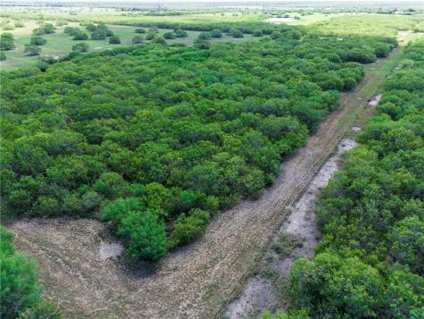 00 Fm 70 Sandia TX 78383