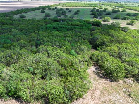 00 Fm 70 Sandia TX 78383