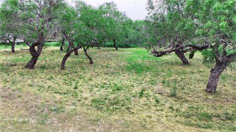 480 W Corral Avenue Kingsville TX 78363