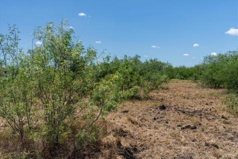253 County Road 222 Orange Grove TX 78372