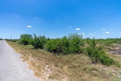 253 County Road 222 Orange Grove TX 78372