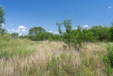 253 County Road 222 Orange Grove TX 78372