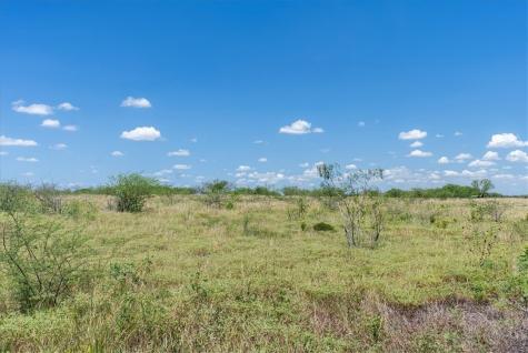 253 County Road 222 Orange Grove TX 78372