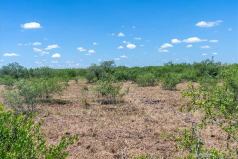 253 County Road 222 Orange Grove TX 78372