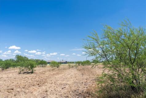 253 County Road 222 Orange Grove TX 78372