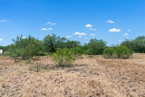 253 County Road 222 Orange Grove TX 78372