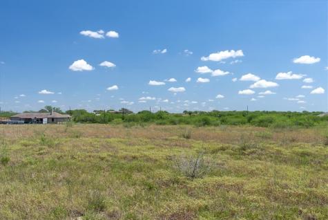 253 County Road 222 Orange Grove TX 78372