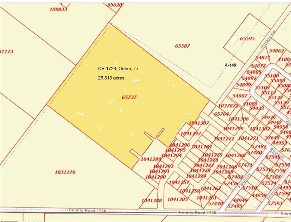 0 County Road 1726 Odem TX 78370