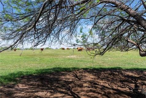 00 North Cr 2140 Kingsville TX 78363