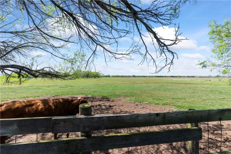 00 North Cr 2140 Kingsville TX 78363