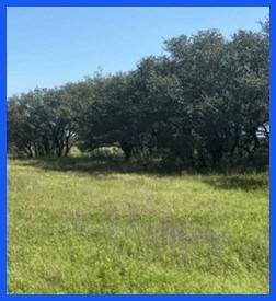 Trail 7 Private Road Refugio TX 78377
