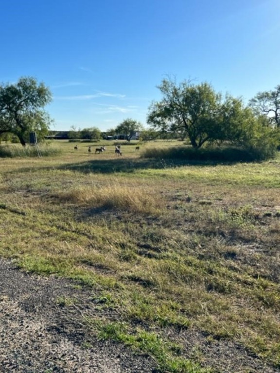 Lot 20 Nakishwana Circle Viii Sandia TX 78383