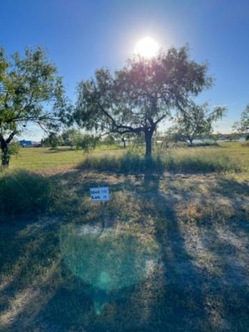 Lot 20 Nakishwana Circle Viii Sandia TX 78383