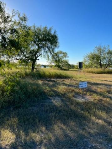 Lot 20 Nakishwana Circle Viii Sandia TX 78383