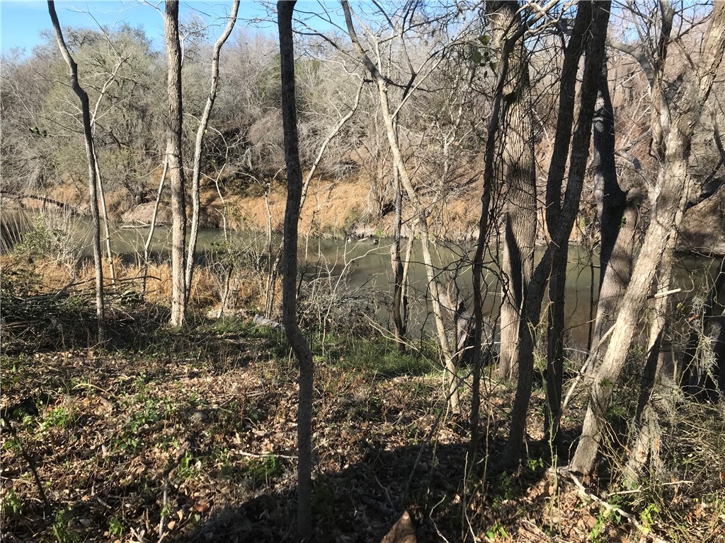 0000 Javelina Creek Drive Robstown TX 78380