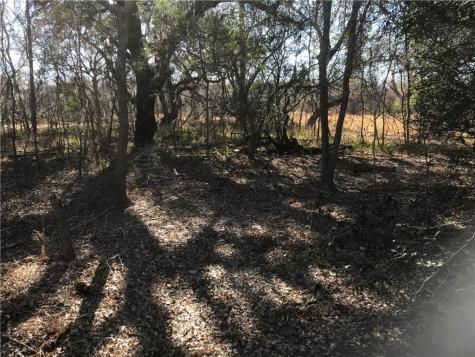 0000 Javelina Creek Drive Robstown TX 78380
