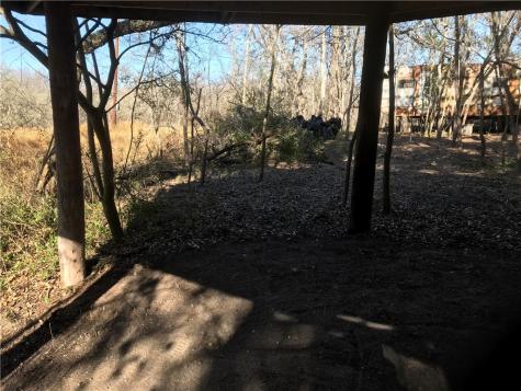 0000 Javelina Creek Drive Robstown TX 78380