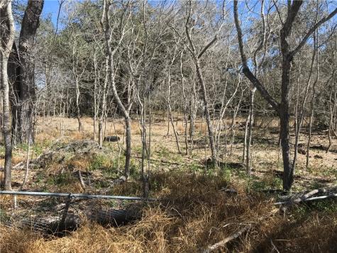 0000 Javelina Creek Drive Robstown TX 78380