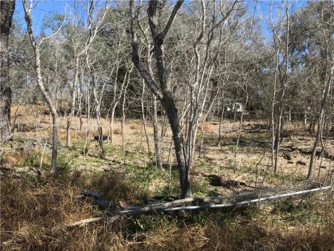 0000 Javelina Creek Drive Robstown TX 78380
