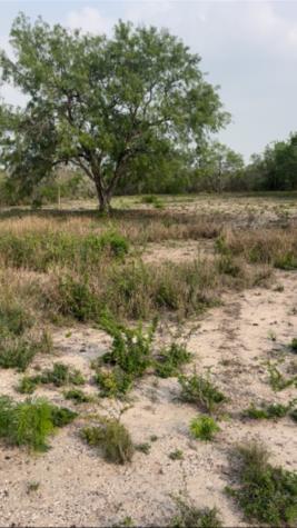 271 Fm 1358 Three Rivers TX 78071