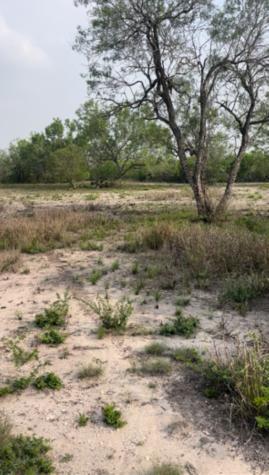 271 Fm 1358 Three Rivers TX 78071