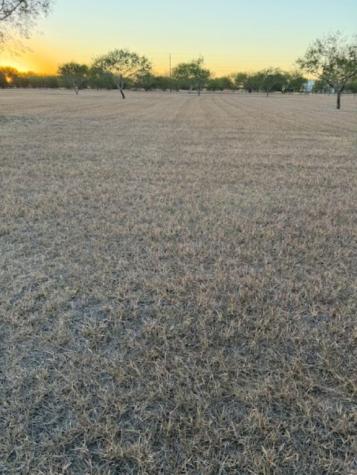 3872 Cobb Lane Robstown TX 78380