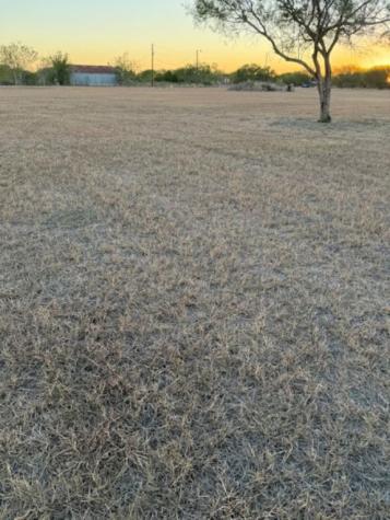 3872 Cobb Lane Robstown TX 78380