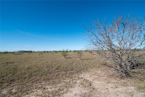 0 Tract 11 Fm 666 Road Robstown TX 78380