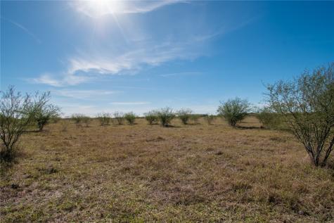 0 Tract 11 Fm 666 Road Robstown TX 78380