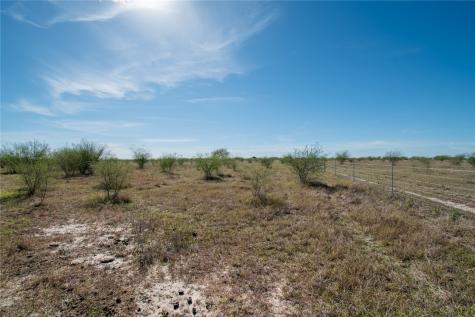 0 Tract 11 Fm 666 Road Robstown TX 78380
