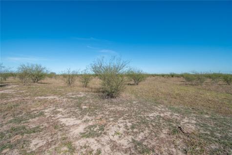 0 Tract 11 Fm 666 Road Robstown TX 78380