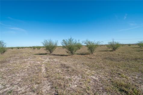 0 Tract 11 Fm 666 Road Robstown TX 78380