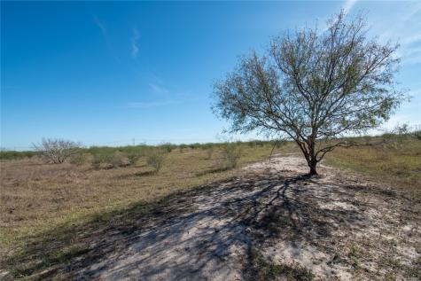 0 Tract 11 Fm 666 Road Robstown TX 78380